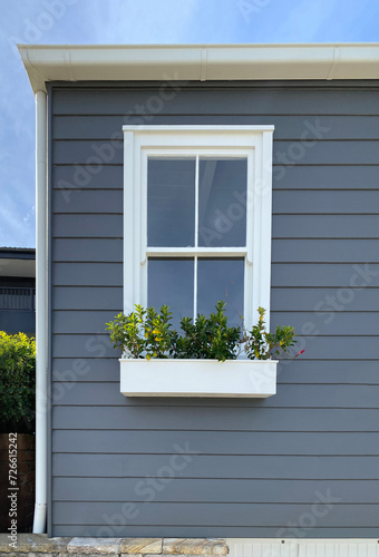 Window with shutters and yellow flowers. Part of the facade of a building with gray wooden laths  a white window and a flowerpot underneath.