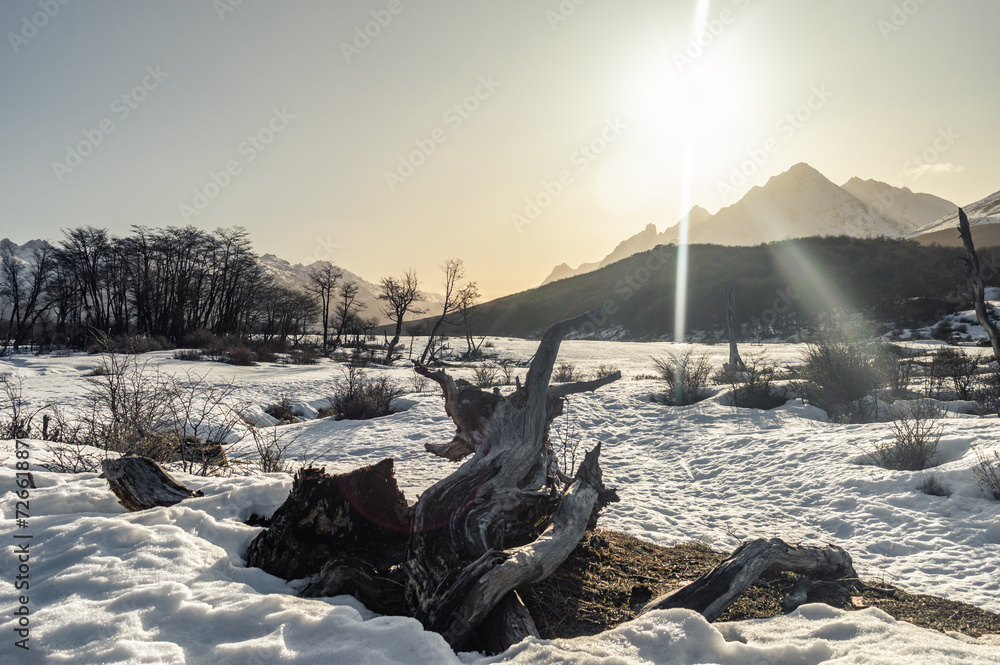 fallen tree in the snow with mountain range in the background, golden hour. Ushuaia Emerald Lagoon