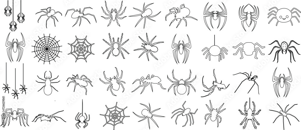Spider, line art, illustrations, various species, isolated, white background. Perfect for educational content, Halloween decorations, nature studies