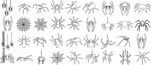 Spider, line art, illustrations, various species, isolated, white background. Perfect for educational content, Halloween decorations, nature studies © Arafat