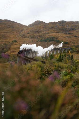 Zdjęcie słynnego pociągu na wiadukcie, Szkocja