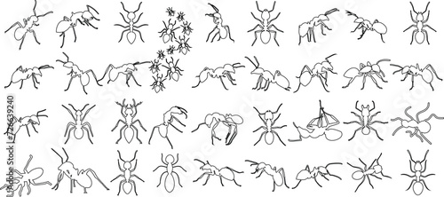 Ant, detailed sketch collection, black outlines on white background. Perfect for educational materials, science projects, entomology studies. Insect drawing, biology, zoology, nature, wildlife