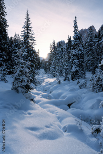 Verschneiter Bachlauf und Lichtung im Wald im Winter in den Alpen in der Sonne mit Schnee und Bäumen.