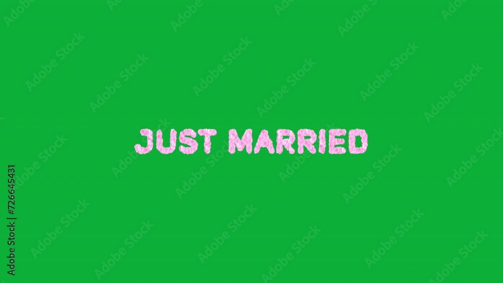 Floral Animated Just Married Scene - Blossom your wedding projects with floral-infused animated Floral Animated Just Married Scene - Blossom your wedding projects with floral-infused animated