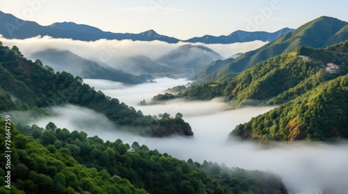 Wild naure fog and mist on the top of mountain forest UHD wallpaper