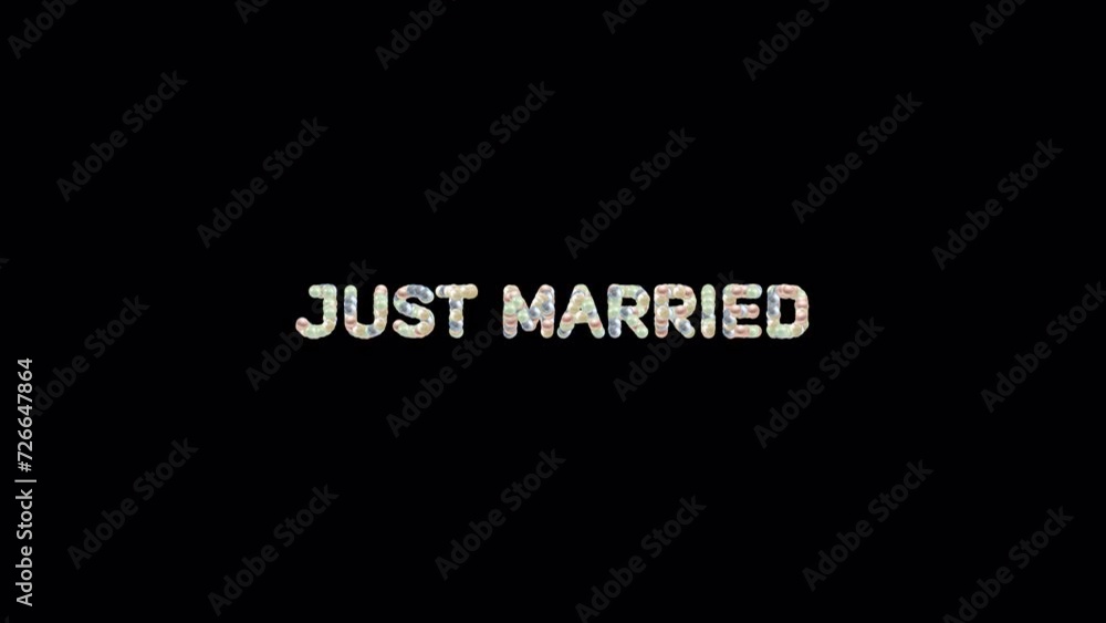 Elegant Just Married Video Background - A curation of tasteful and elegant animated backgrounds perfect for commemorating a wedding. Elegant Just Married Video Background - A curation of tasteful and elegant animated backgrounds perfect for commemorating a wedding.