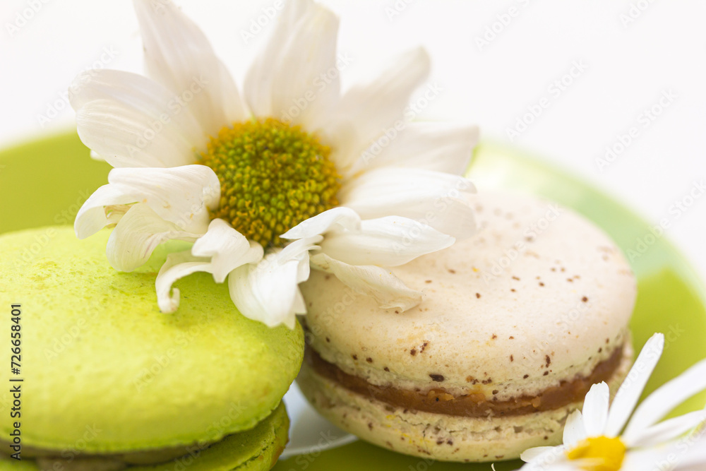 Tasty spring dessert. Summer dessert. Bright green and white macarons on green plate, white chamomile on white background. Tasty spring dessert. Summer dessert. Bright green and white macarons on green plate, white chamomile on white background.