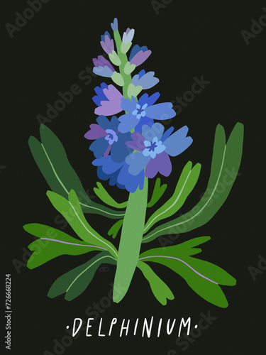 Wildflower On Black Background, Flower Art, Flower Illustration