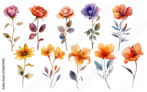 Set of 10 isolated delicate watercolor flowers in pastel colors for banner, greeting card for wedding, birthday, international women's day, mother's day, children's day, Easter