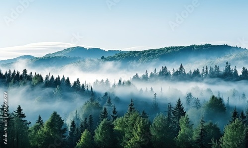 A Mystical Forest Enveloped in Mysterious Fog