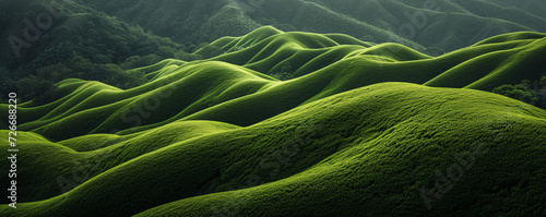 Serene Green Undulating Hills and Valleys in Natural Light