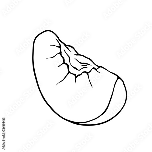 Linear sketch, contour of a slice, piece of peach, nectarine fruit. Vector graphics.