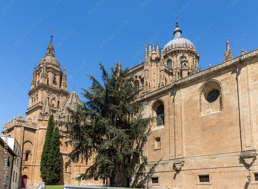 Cathedrals of Salamanca, Castile and León, Spain