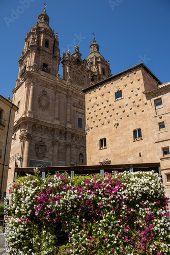 Shell house and Pontifical University of Salamanca with a vertical flower garden in the foreground, Spain photo