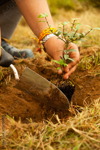 Cultivating a greener tomorrow: A woman's hand tenderly plants a baby tree, symbolizing growth and environmental care. Ideal for eco-conscious concepts.