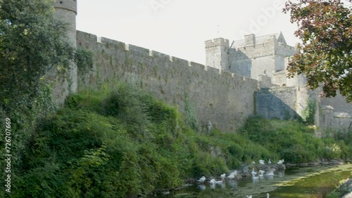 Medieval Cahir Castle with Geese on a river. photo