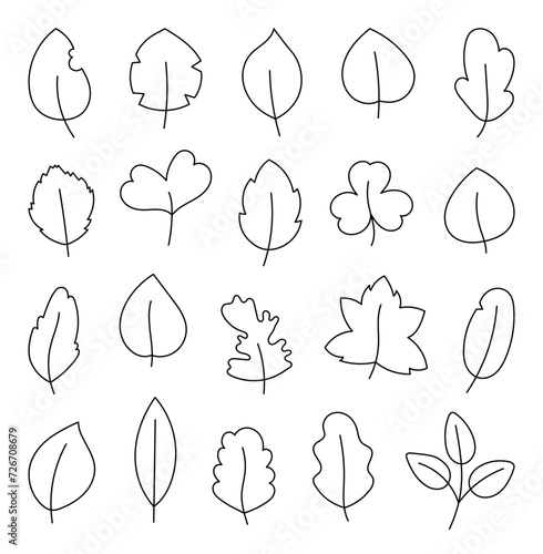 Autumn leaf. Nature. Coloring Page. Hand drawn style. Vector drawing. Collection of design elements.