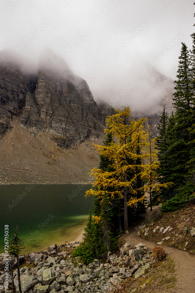 Banff National Park, Alberta, Canada