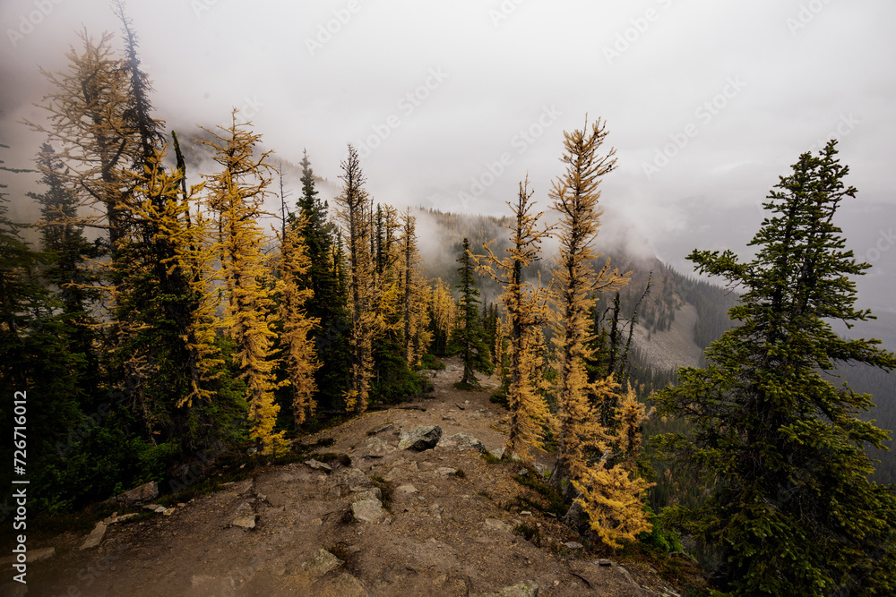 Banff National Park, Alberta, Canada