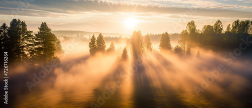 Golden Sunrise Over Misty Forest Landscape: A Majestic Display of Light and Shadow Amidst the Trees © Alienmonster Images