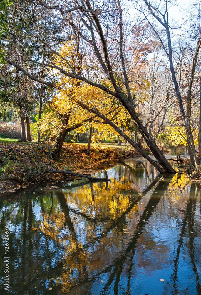 Reflections of Blue Sky and Fall Foliage in a water. Heritage Park parking lot. Allentown, New Jersey