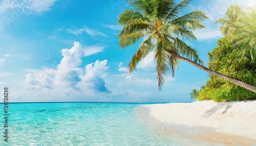 Beautiful beach with white sand  turquoise ocean  blue sky with clouds and palm tree over the water on a Sunny day. Maldives  perfect tropical landscape  wide format.