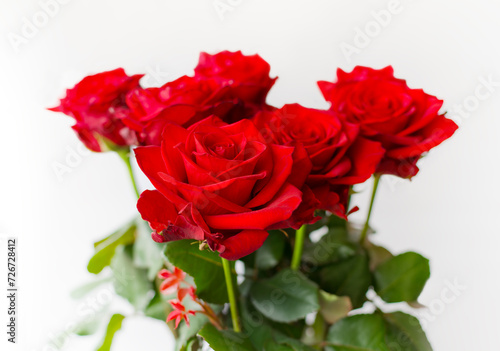 Bouquet of red roses on a white background