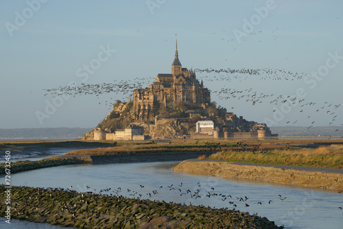 Mont Saint Michel mit Kiebitzschwarm