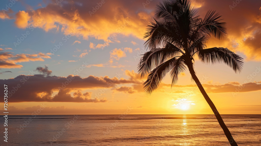 a palm tree is silhouetted against a sunset over the ocean with the sun in the distance and clouds in the sky.