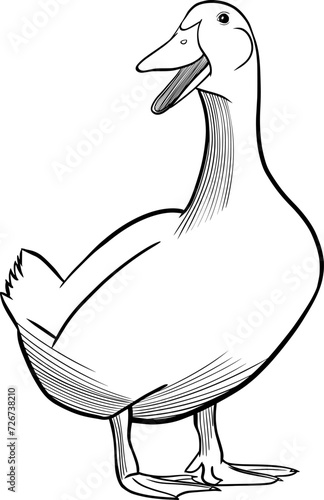 duck engraving style vector illustration