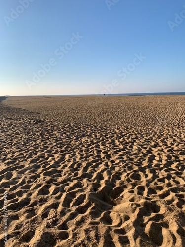 sand dunes in the desert