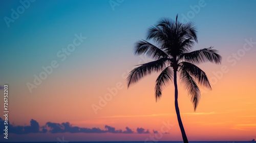  a palm tree is silhouetted against an orange and blue sky as the sun sets on the horizon of the ocean. © Anna