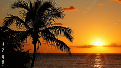  the sun is setting over the ocean with a palm tree in the foreground and the horizon in the background.