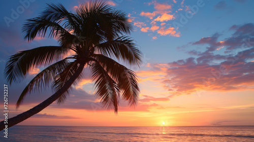  a palm tree is silhouetted against a sunset over the ocean on a beach in the middle of the day.