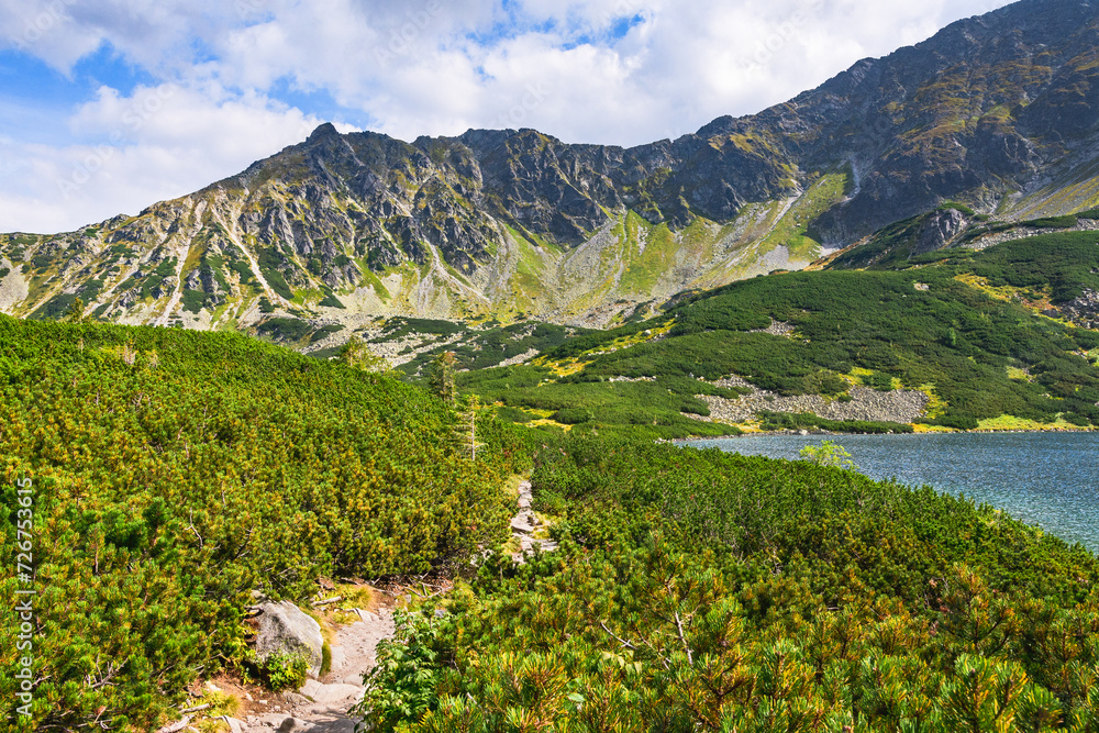 Polish Tatra Mountains, a mountain trail leading along the shore of the Przedni Staw Polski pond, a mountain landscape with alpine vegetation.