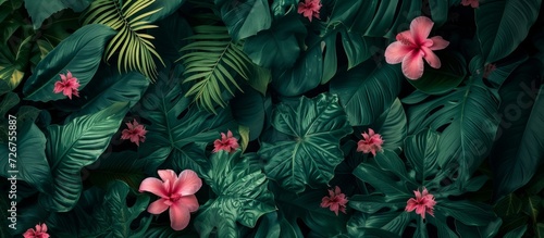 Green leafy plants with patterns and pink flowers, along with the surrounding atmosphere. © AkuAku