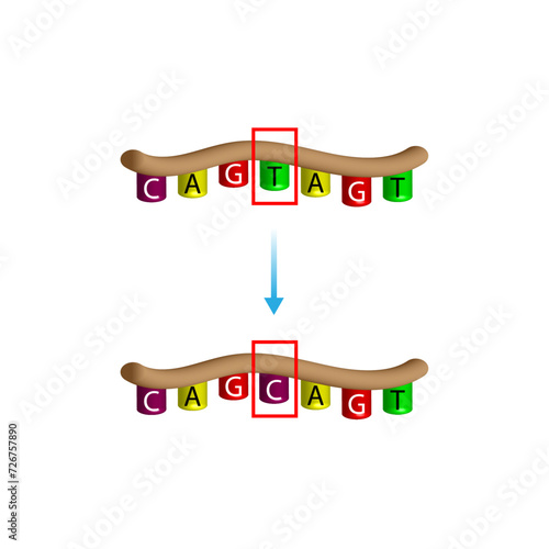 Point mutation, error during DNA replication. Scientific design, Vector illustration.	