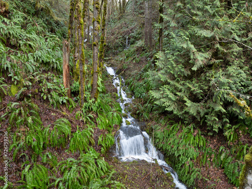 A narrow stream tumbles through the Molalla River Valley in Oregon. This wild area is home to extensive forests, beautiful hiking, biking, and equestrian trails, and the Molalla River. photo