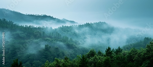 Hilltop in misty forest during a morning, with negative space. © AkuAku
