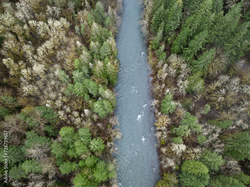 Not south of Portland, Oregon, the Molalla River flows through Molalla River Valley, home to extensive forests, beautiful hiking, biking, and equestrian trails. photo