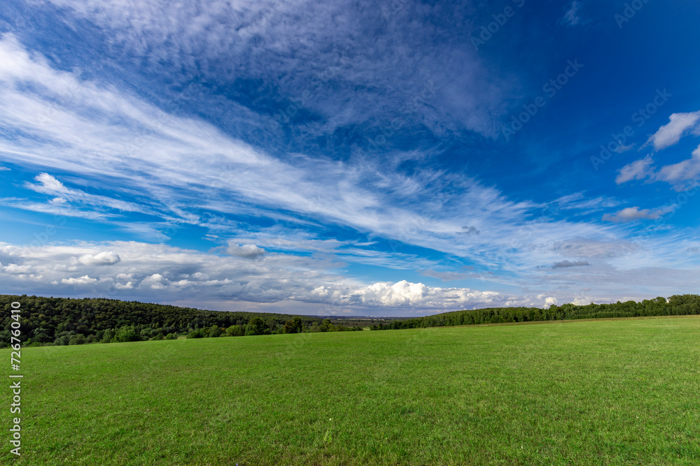 Fototapeta premium Agriculture, green field of young grass shoots, new shoots on an autumn field