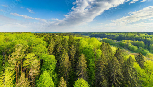 Aerial viev green forest on a spring day, natural background. Photo from the drone