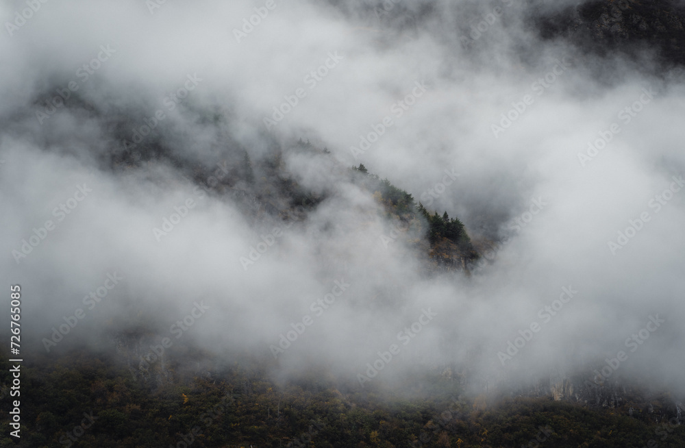 Forested mountain ridge in the clouds Forested mountain ridge in the clouds