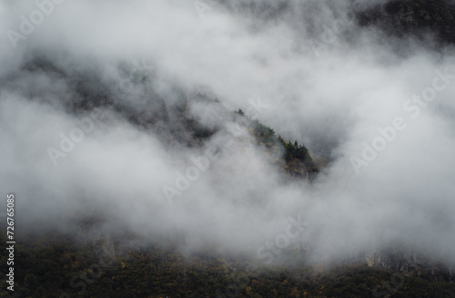 Forested mountain ridge in the clouds