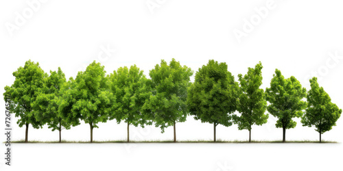 row of trees with lush green foliage  creating a beautiful natural landscape.