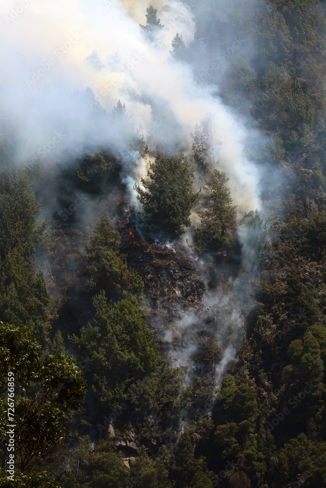 Fototapeta premium incendios, forestales, Bogotá