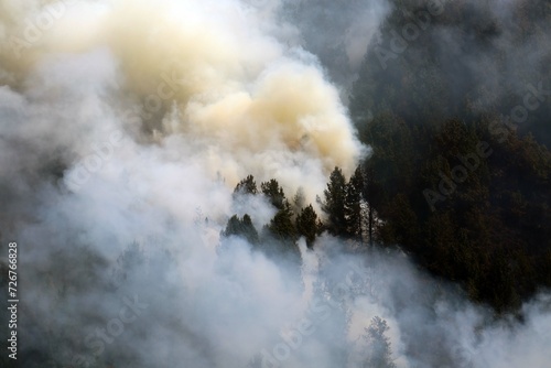 incendios, forestales, Bogotá photo
