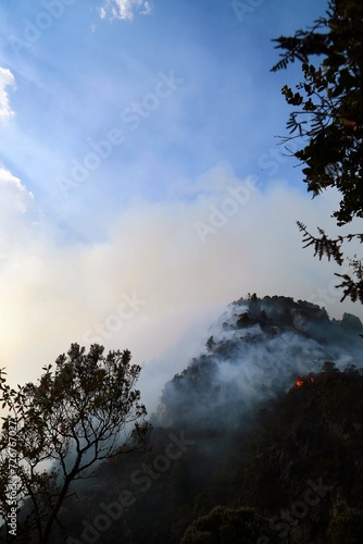 incendios, forestales, Bogotá