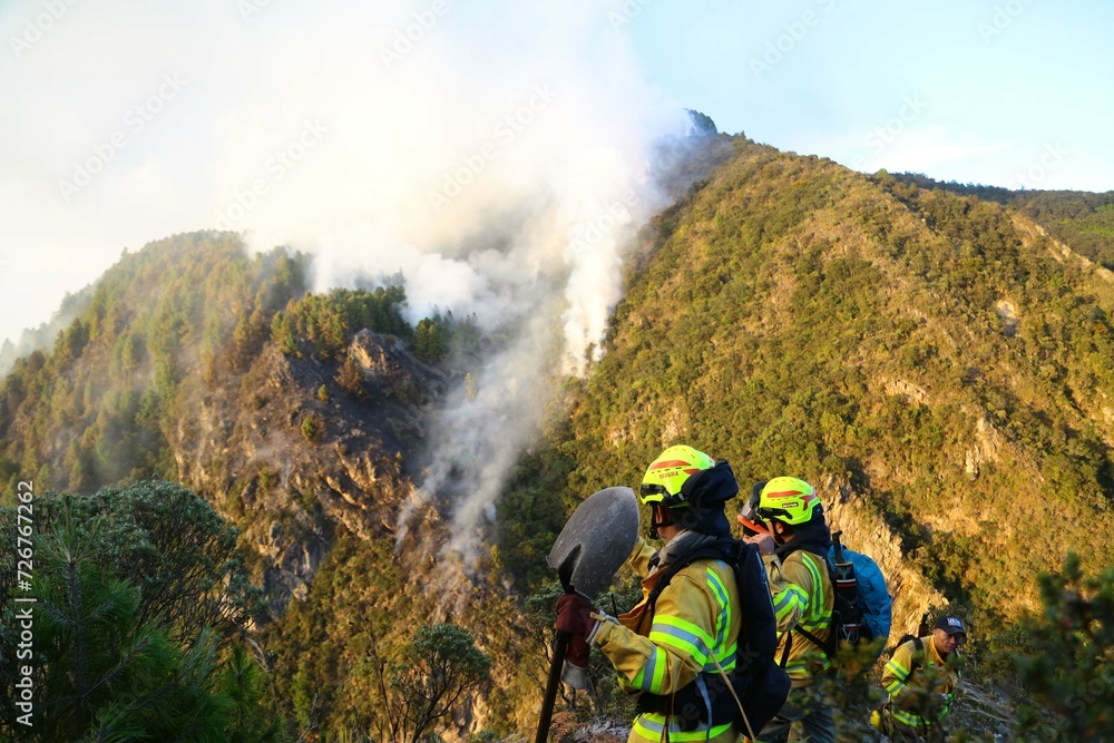 incendios, forestales, Bogotá