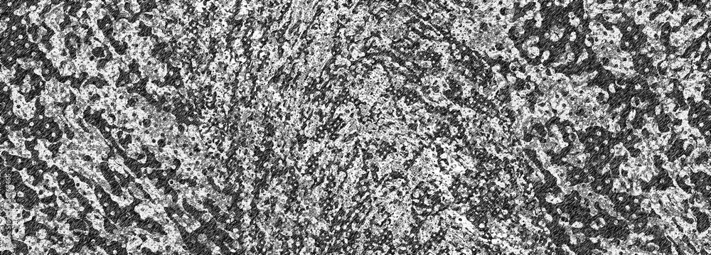 An abstract black and white halftone grunge texture background image. An abstract black and white halftone grunge texture background image.